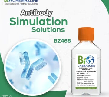 Antibody Simulation Solutions