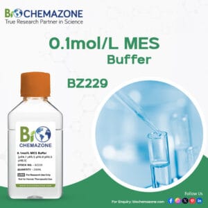 MES Buffer